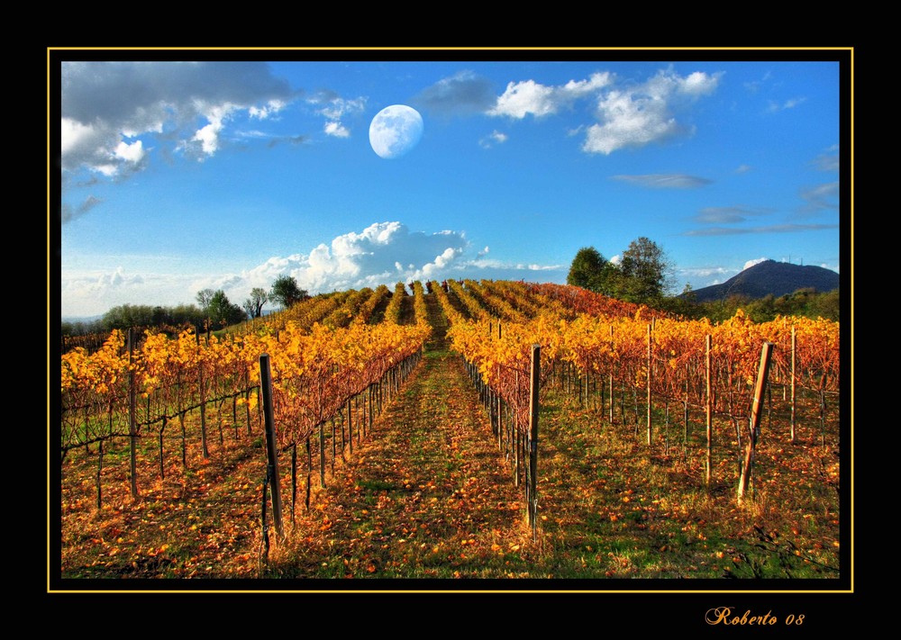 Luna di Novembre