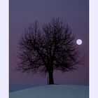 luna d'inverno