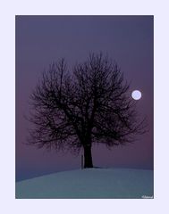 luna d'inverno