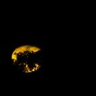 LUNA DO NOV 6 17_R9A2282