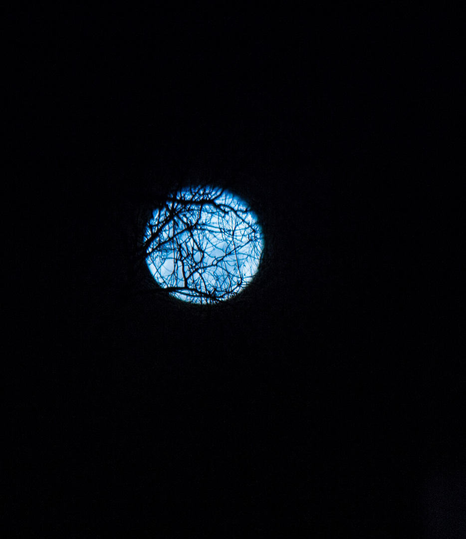 Luna enramada