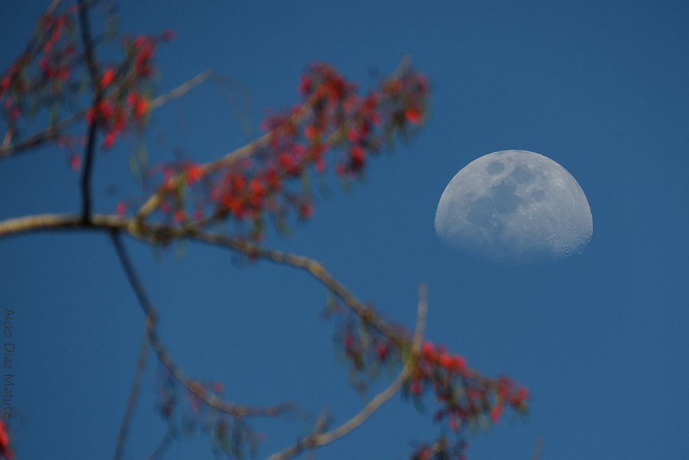 Luna Gibosa Creciente Imagen & Foto | cielo y universo, detalles, cielo
