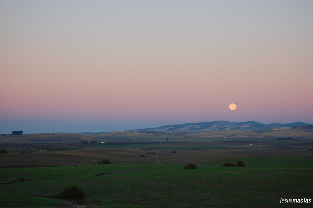 Luna llena de noviembre