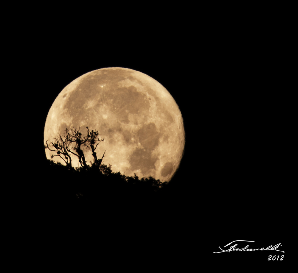 LUNA LLENA Y SUS BAILARINAS EN VERACRUZ,MEXICO