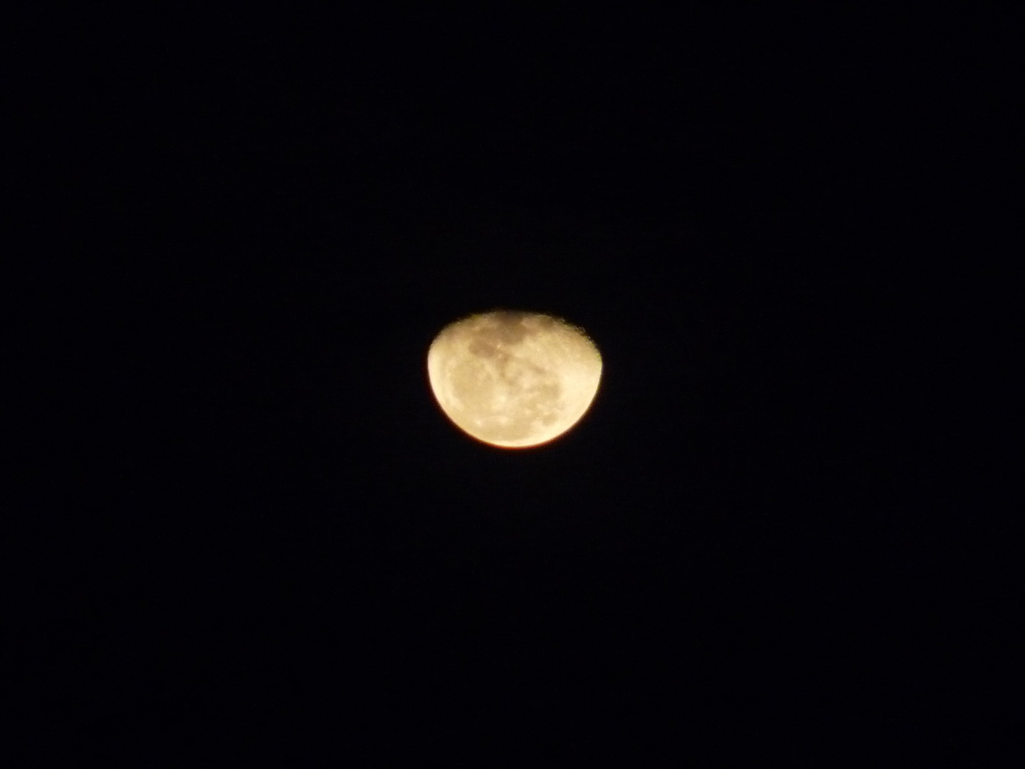 Luna lunera