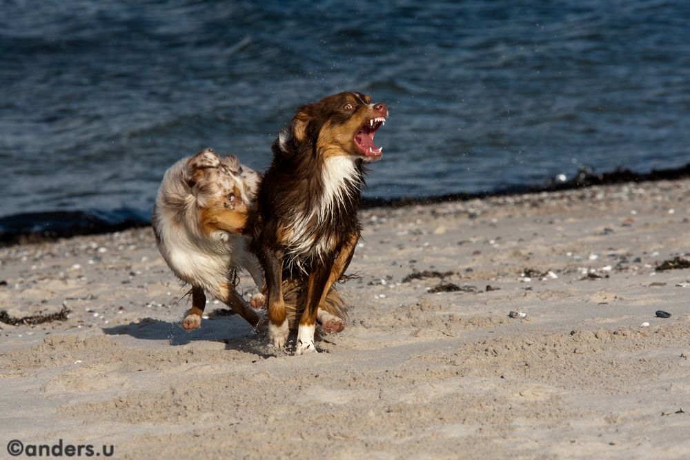 Luna & Milow beim Toben