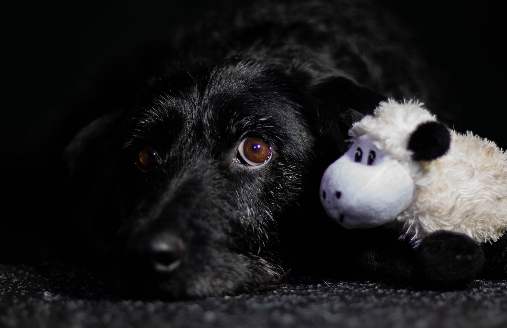 Luna mit Ihrem Geburtagsgeschenk :-)