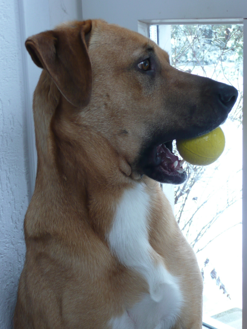 Luna mit ihrem gelben Ball