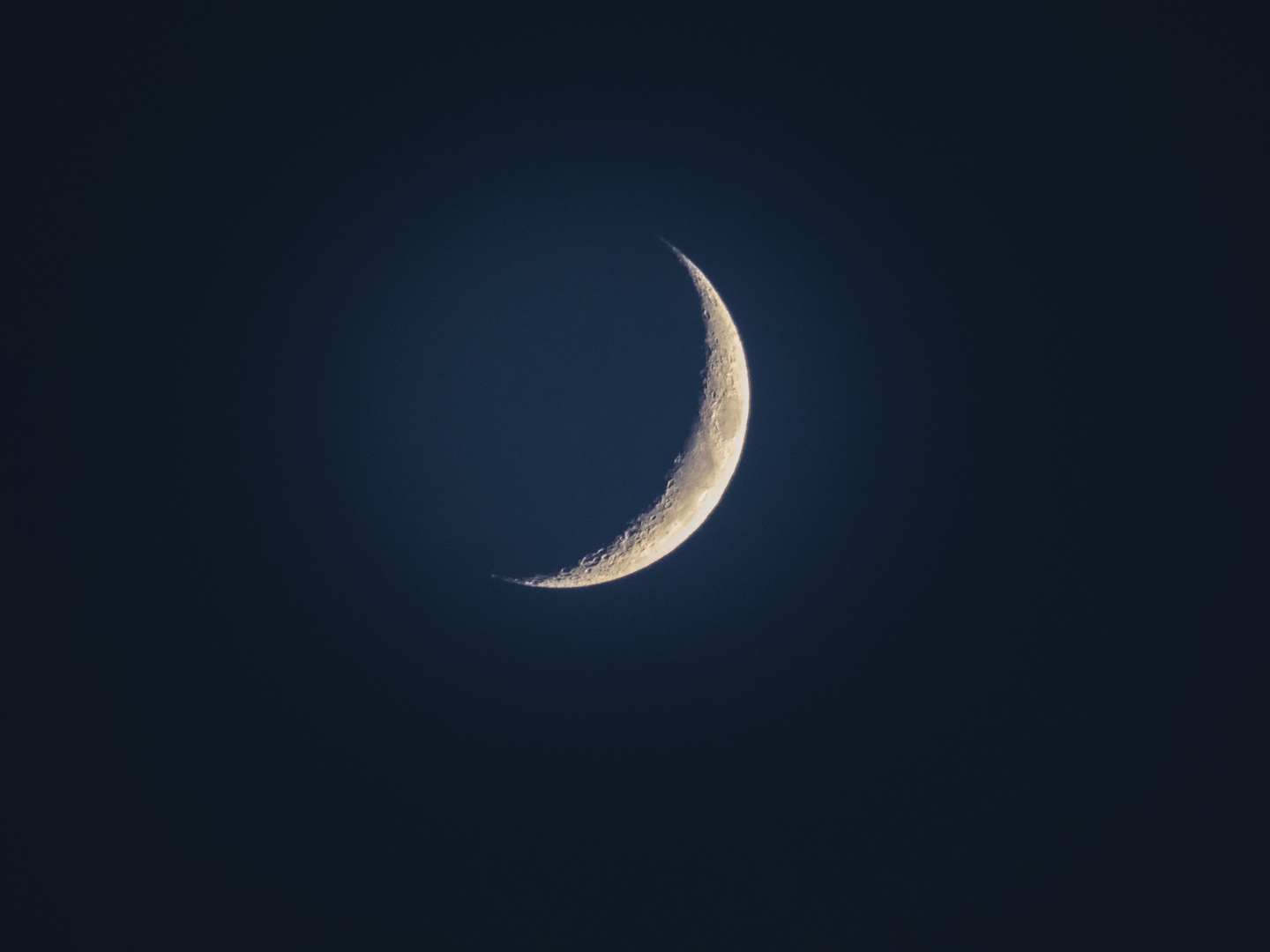 Luna Nuova