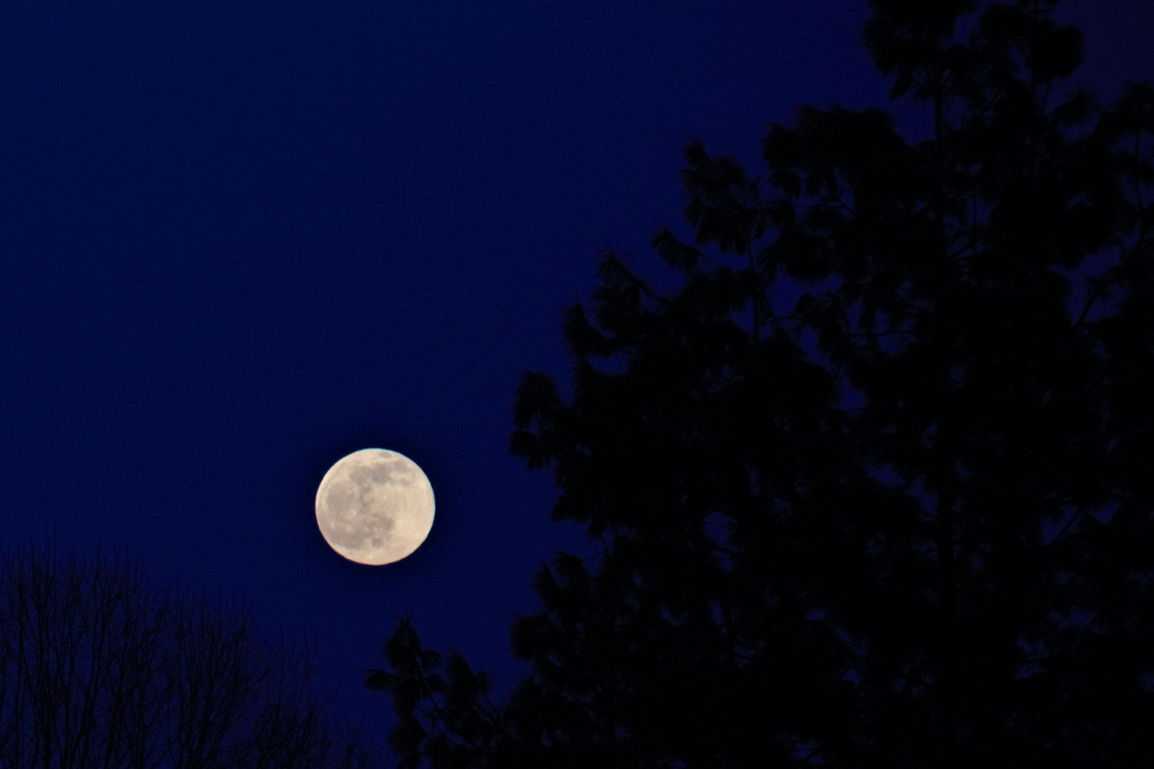 Luna piena dall'ufficio 2