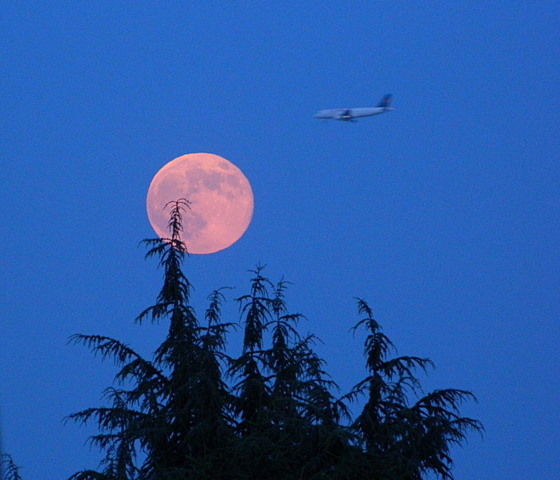 Luna rosa del 23 giugno