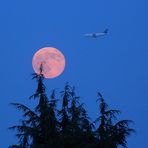 Luna rosa del 23 giugno