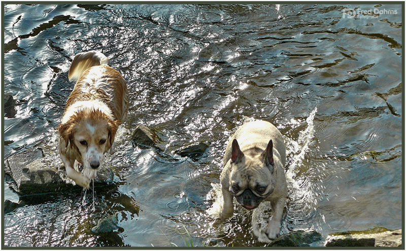 Luna und Amy, Badetag