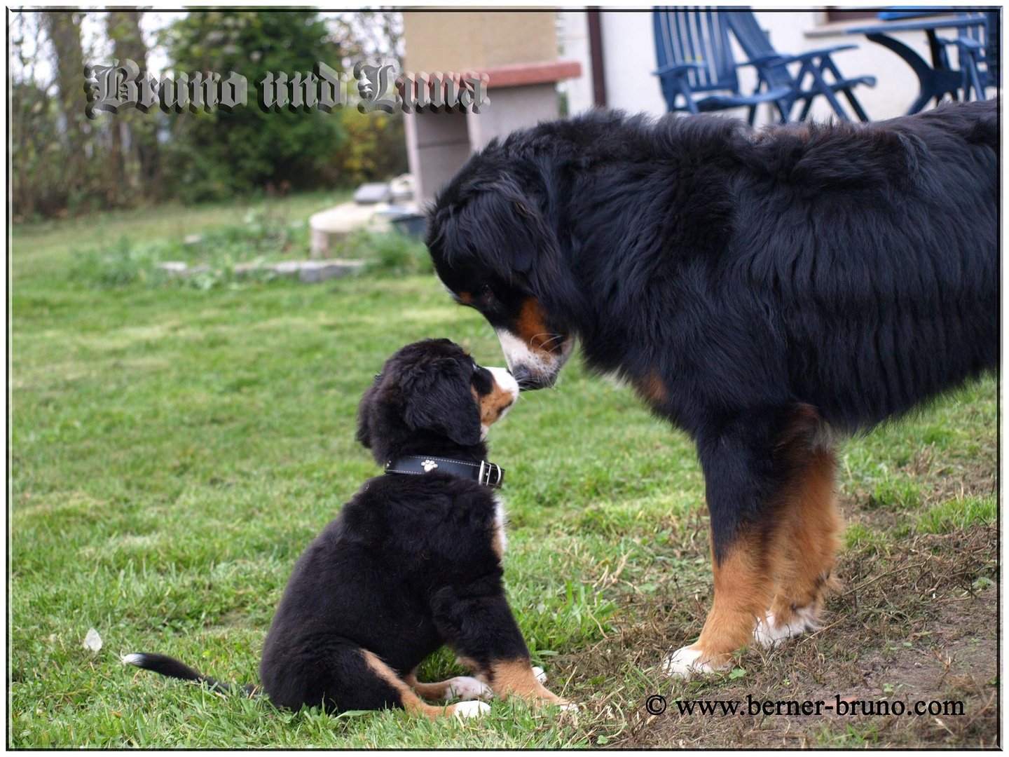 Luna und Bruno