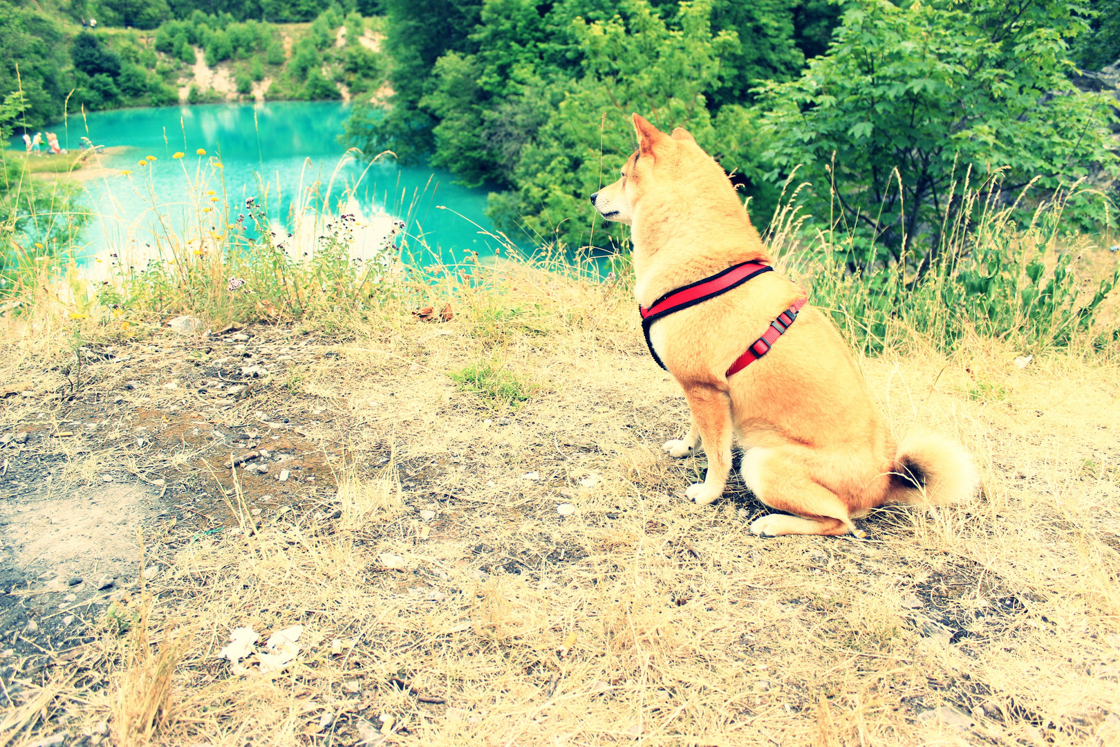 Luna und der blaue See