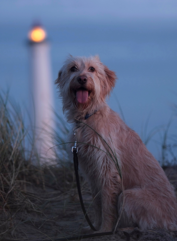 *Luna und der Leuchtturm*