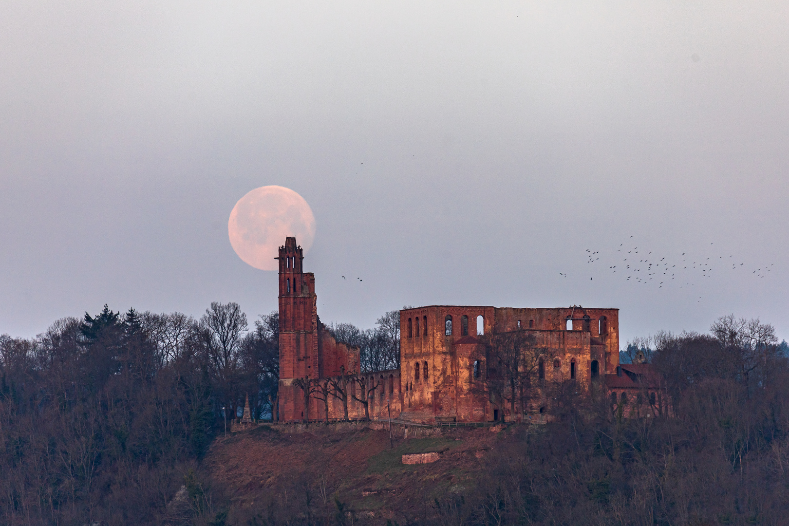 Luna und die Limburg