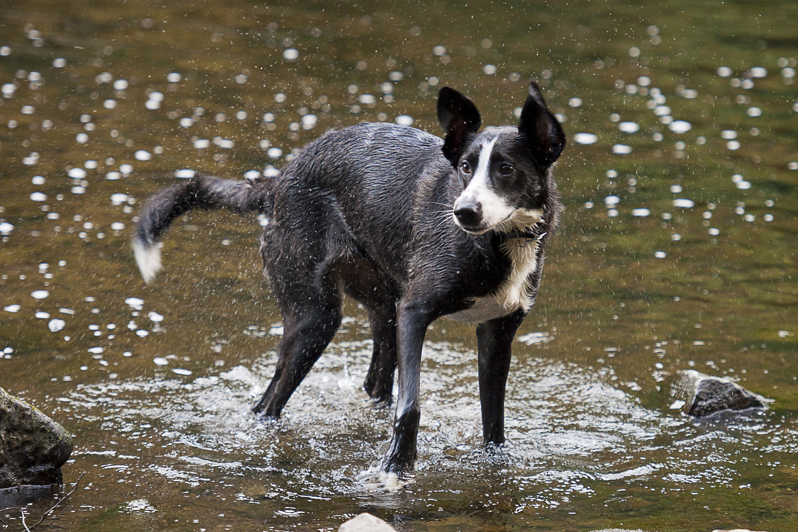 Luna und die Wupper 1