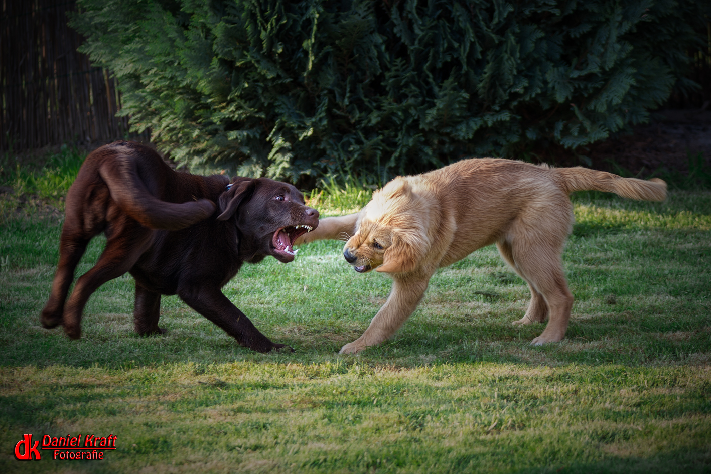 Luna und Lotte