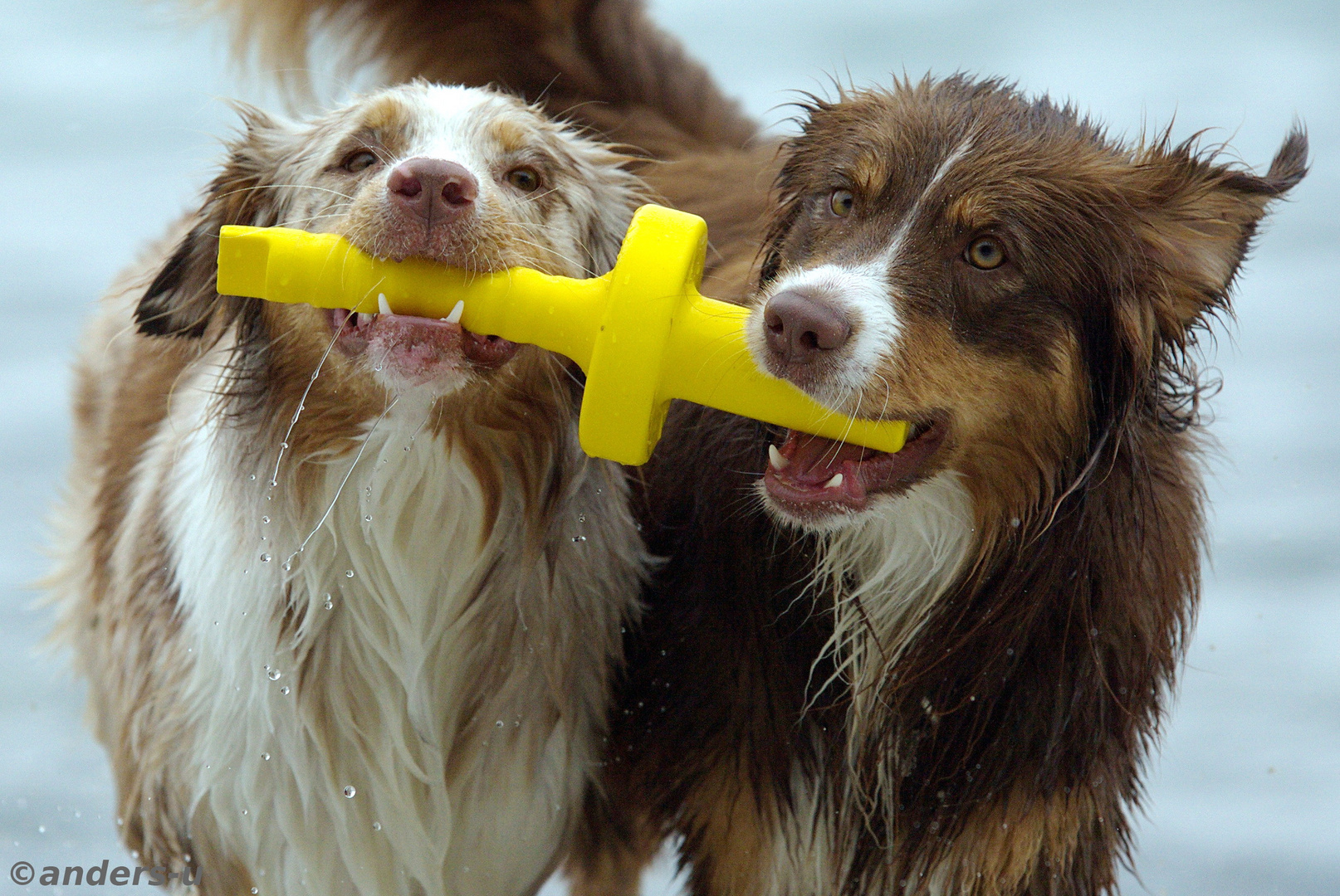 Luna und Milow