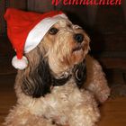 Luna wünscht der fc Frohe Weihnachten