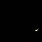 luna y estrella.