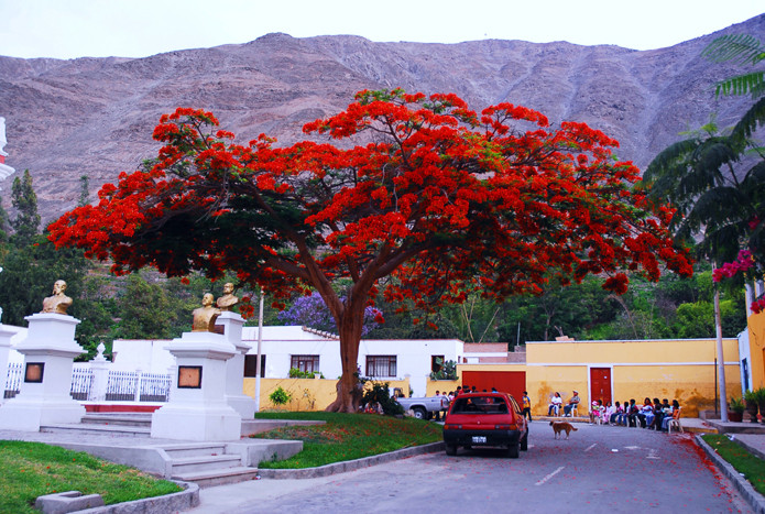 Lunahuana Peru