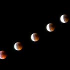 Lunar Eclipse 15.06.11