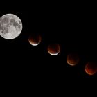 Lunar Eclipse 2015