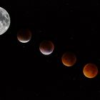 Lunar Eclipse 2015 - final