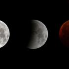 lunar eclipse 2019-01-21