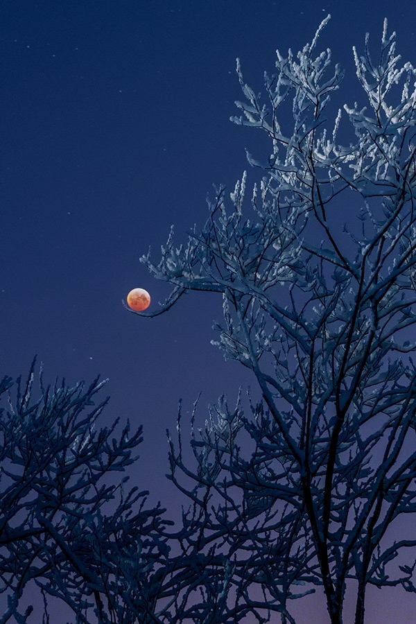 Lunar eclipse / Mondfinsternis 21.1.2019