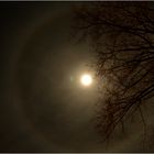 Lunar halo