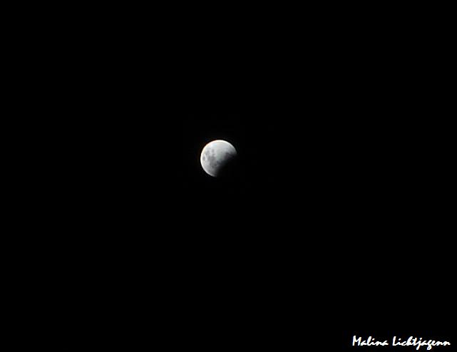 .::Lunatic: Eclipse Lunar 2008::.