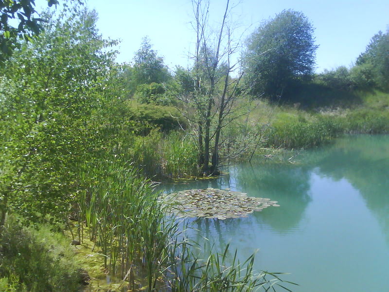 lunch am see