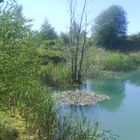 lunch am see