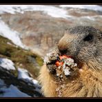 Lunch im Schnee