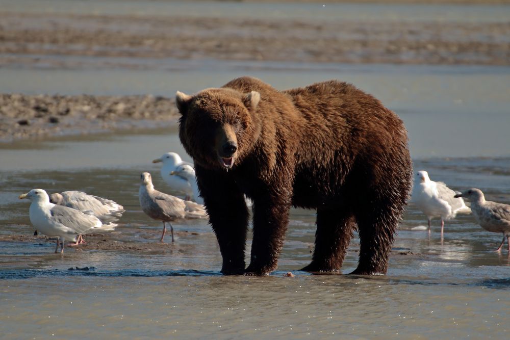 Lunch-Time