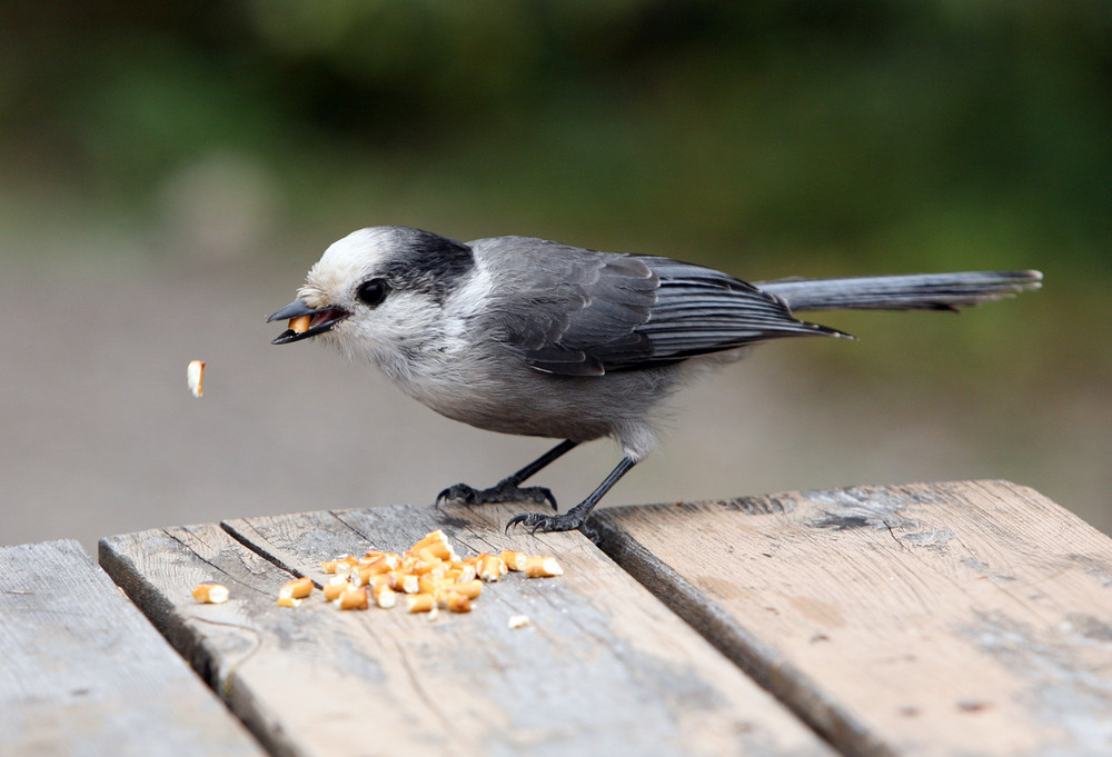 Lunch time