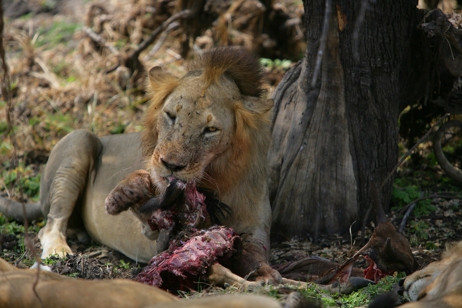 lunch time