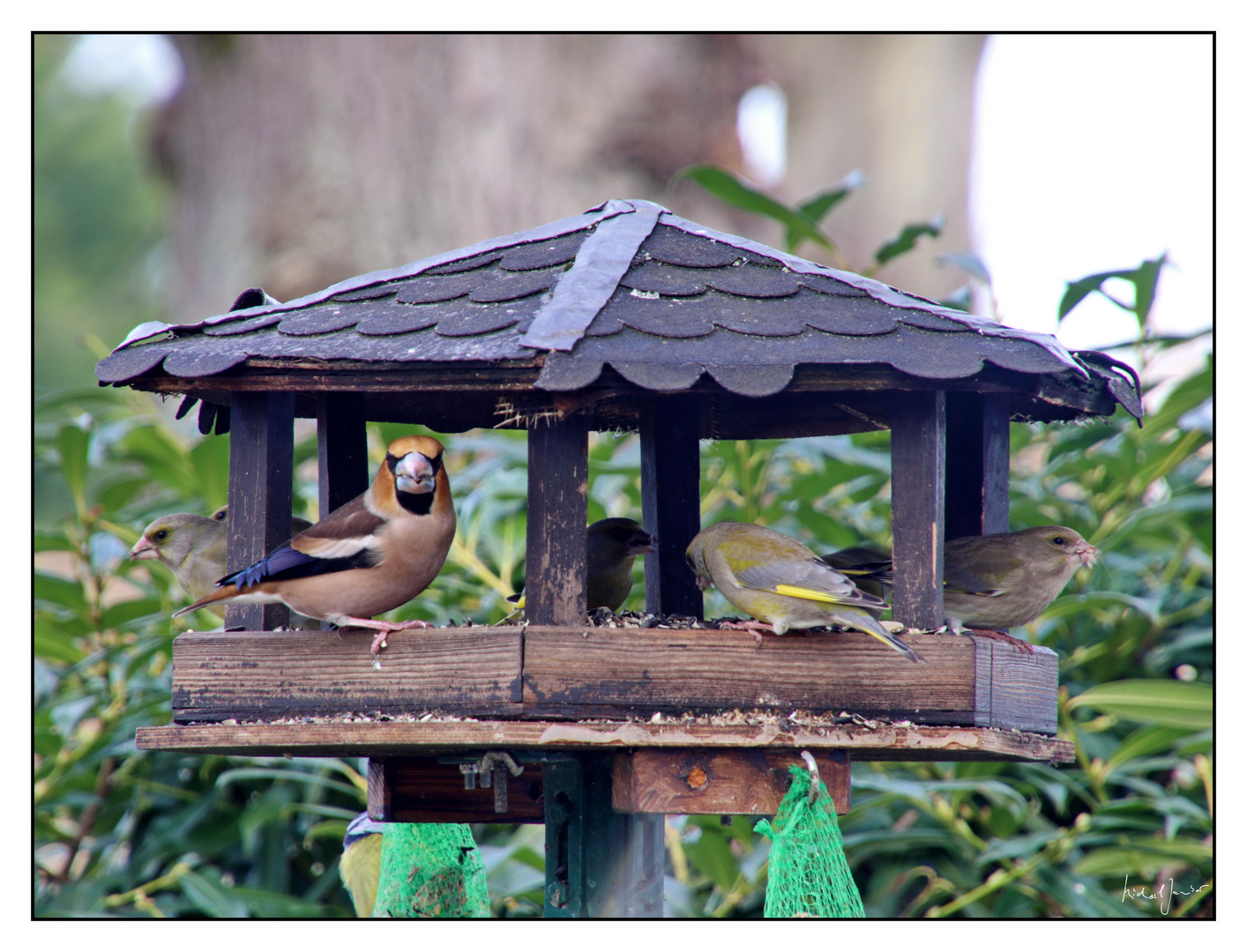 Lunch-Time