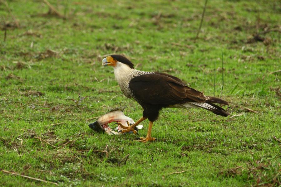 Lunch-Time