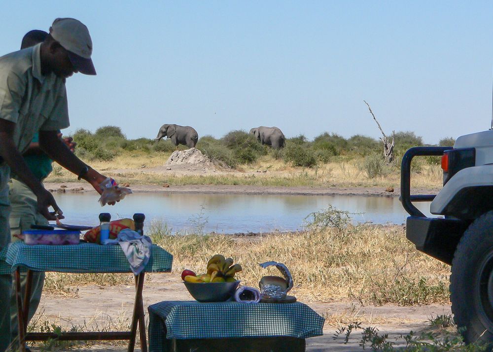 Lunchhour im Chobe