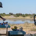 Lunchhour im Chobe