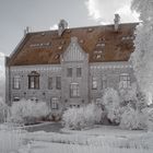 Lund Botanic Garden infrared