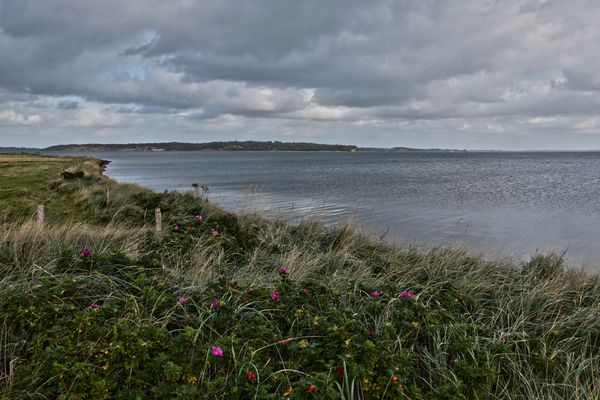 Lundø - Jelse Odde (4)