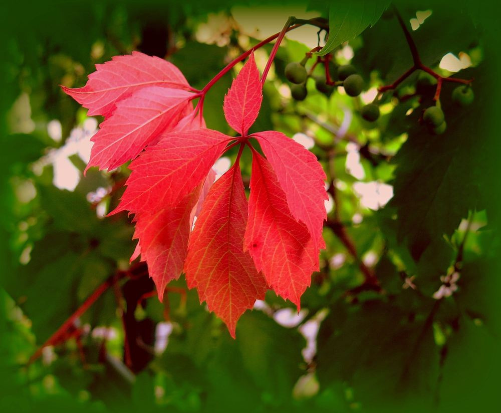 lundi rouge....