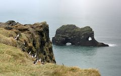 Lundis bei Dyrholaey