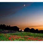 Lune à parc