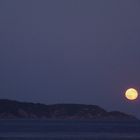 Lune d'été...